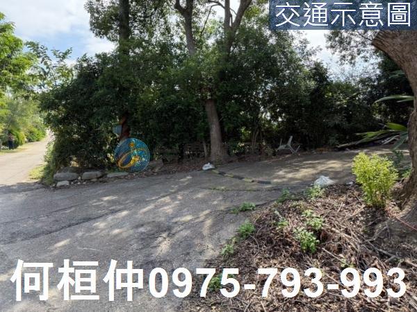 苗栗通霄農地-2