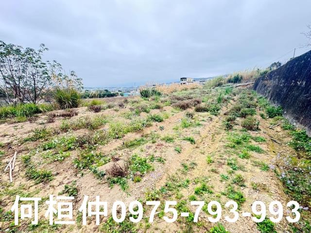 苗栗銅鑼農地-11