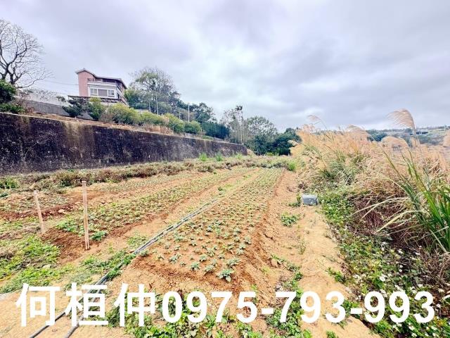 苗栗銅鑼農地-12