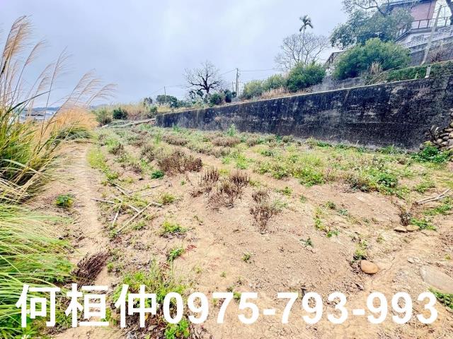 苗栗銅鑼農地-13