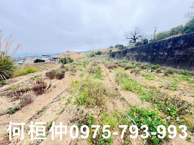 苗栗銅鑼農地-14