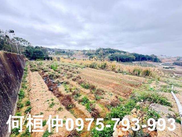 苗栗銅鑼農地-15