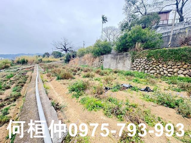 苗栗銅鑼農地-6