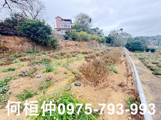 苗栗銅鑼農地-8