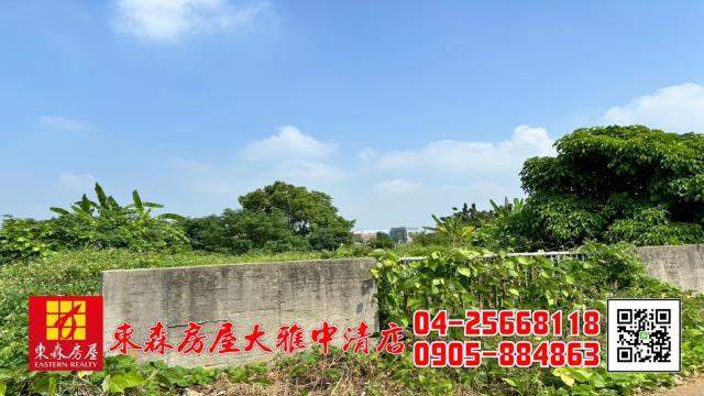 台中清水農地-3