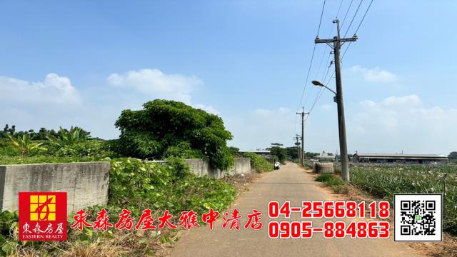 台中清水農地-4