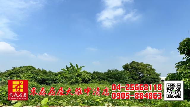 台中清水農地-5