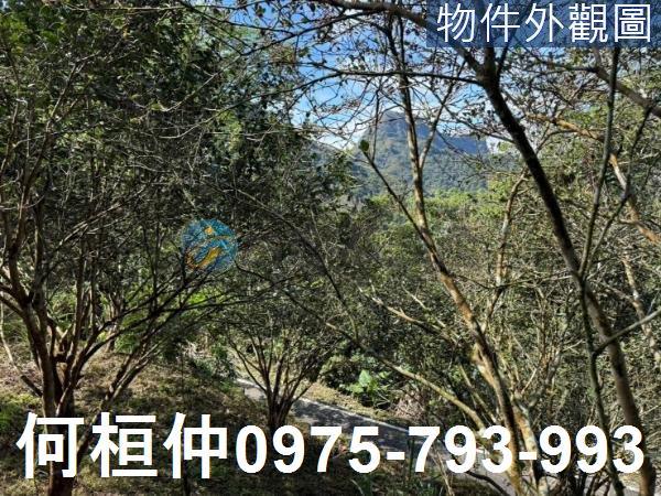 苗栗泰安山坡地-2