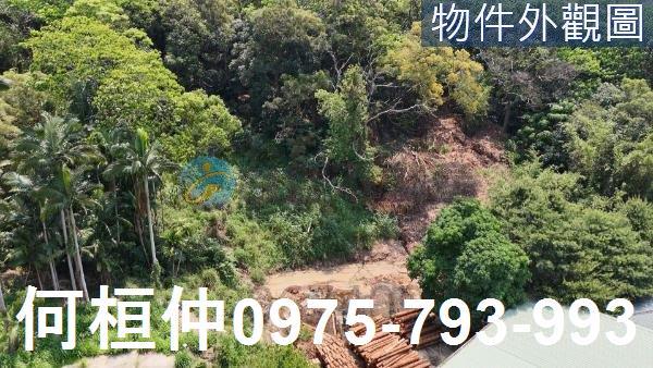 苗栗造橋水利用地-1