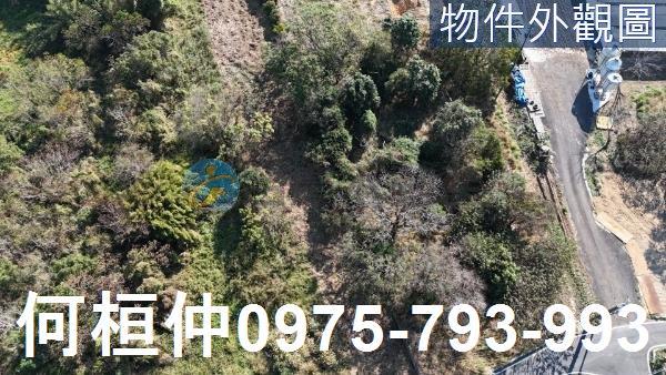 苗栗通霄農地-2