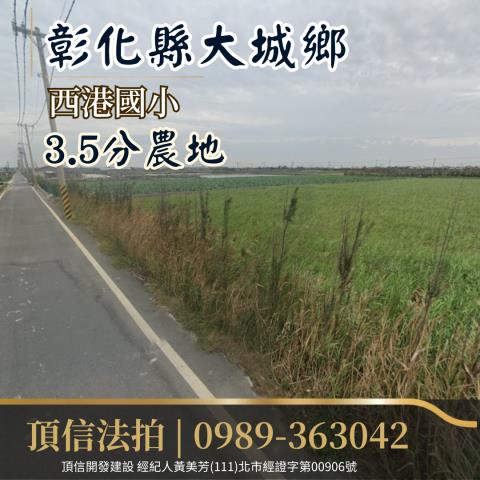 彰化大城法拍農地-2