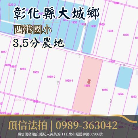 彰化大城法拍農地-4