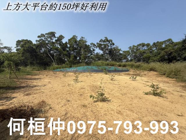 苗栗苑裡農地-10