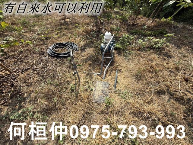 苗栗苑裡農地-11