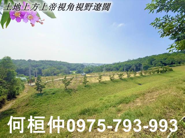 苗栗苑裡農地-1