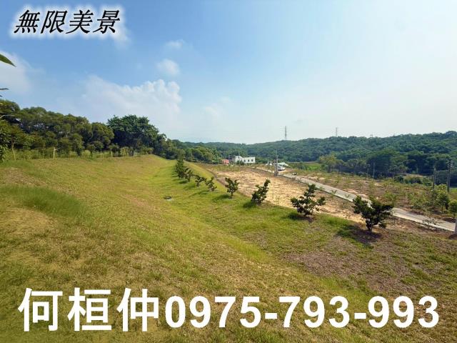 苗栗苑裡農地-7