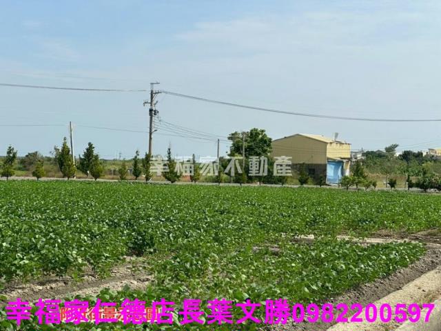 台南後壁農地-11