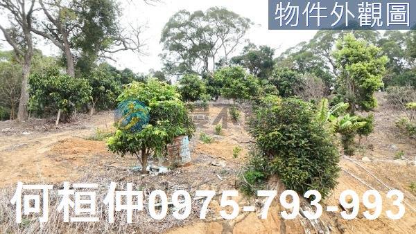 苗栗通霄農地-4