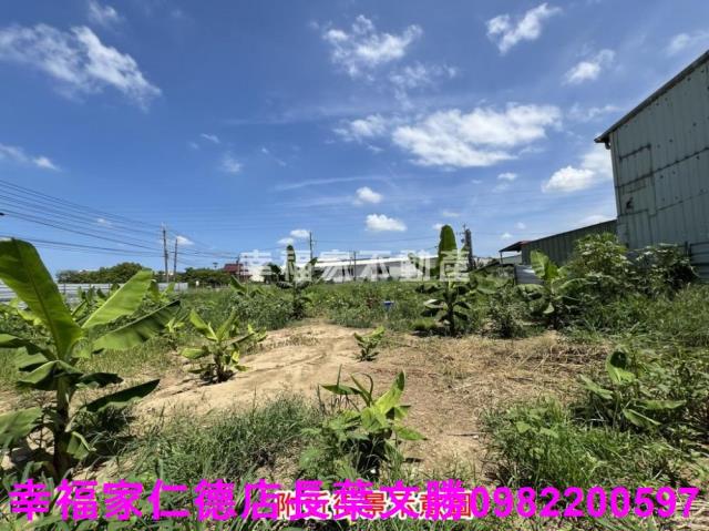 仁德農地-14