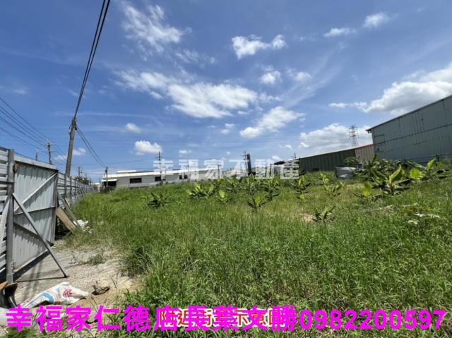 仁德農地-4
