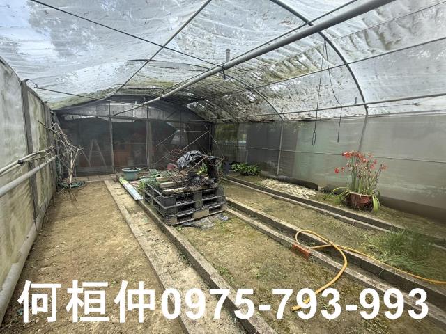 通霄農地-10