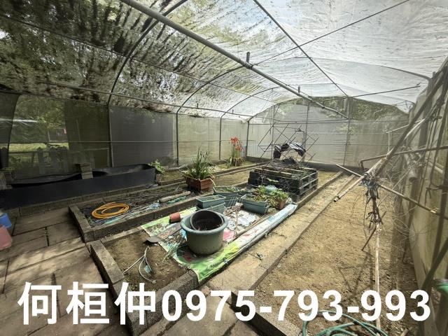 通霄農地-8