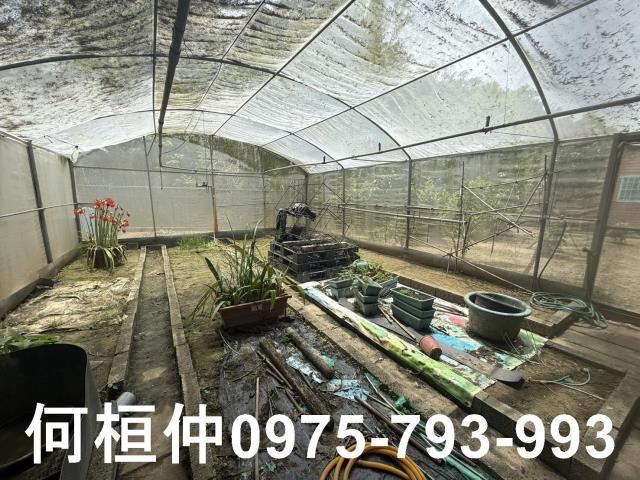 通霄農地-9