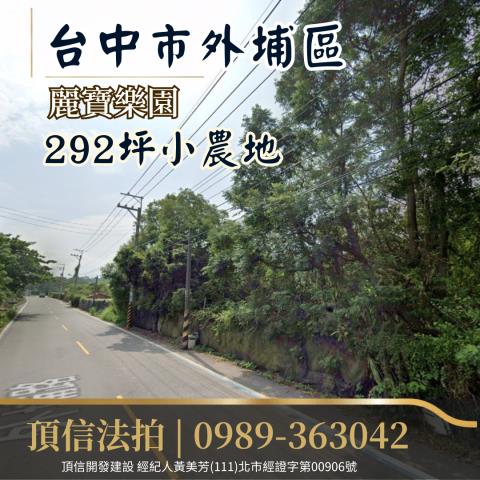外埔農地拍賣-2