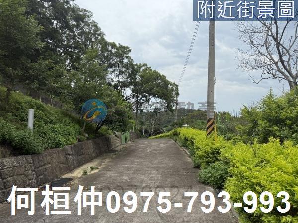 通霄農地-3