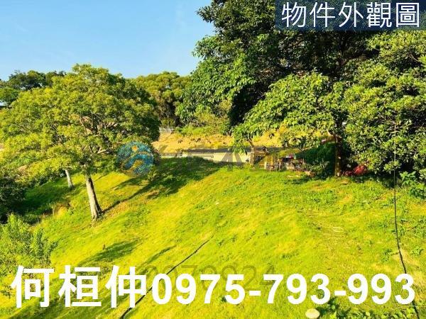 通霄農地-4