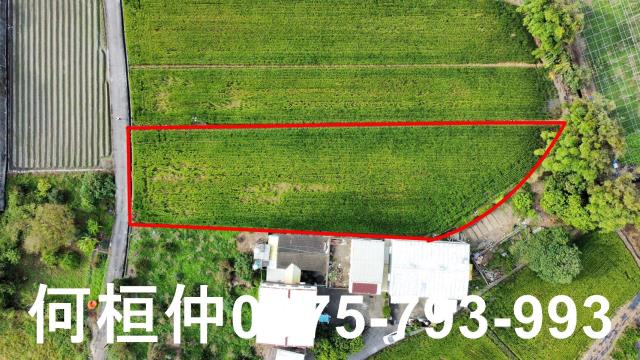公館農地-10