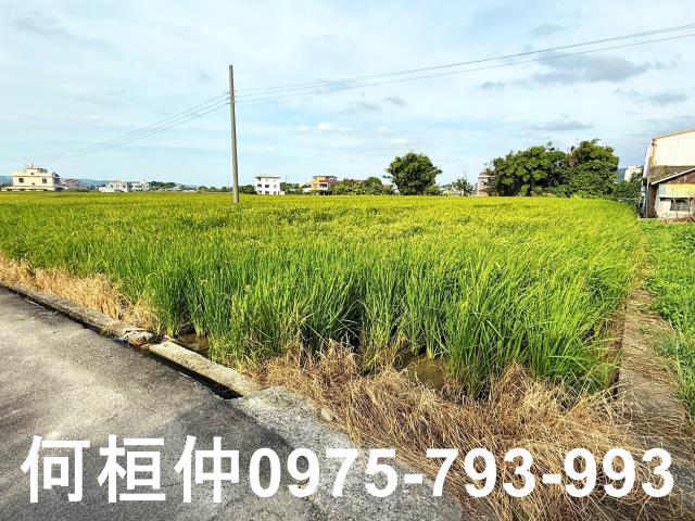 公館農地-11