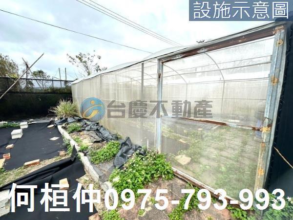 通霄農地-8