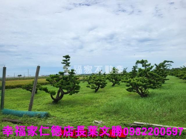 將軍農地-10