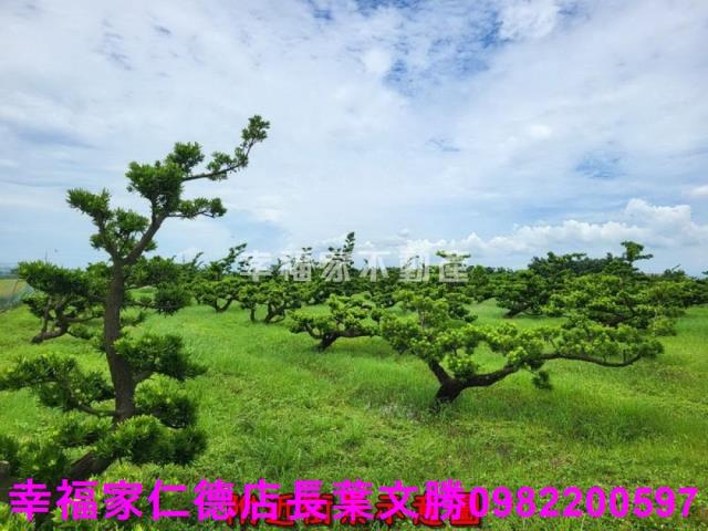 將軍農地-4