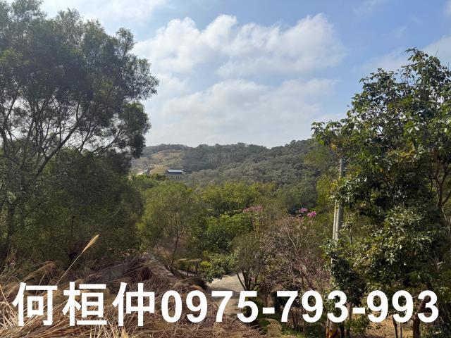 通霄農地-6