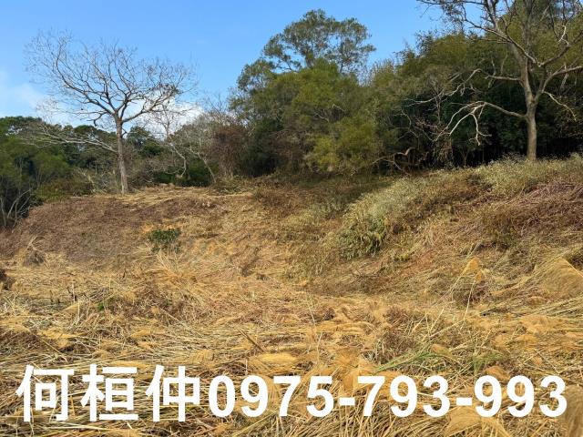 通霄農地-9