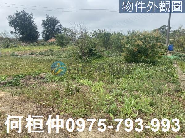 通霄農地-4