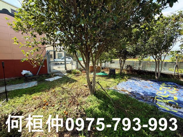 公館農地-13