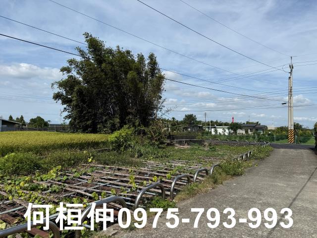公館農地-14