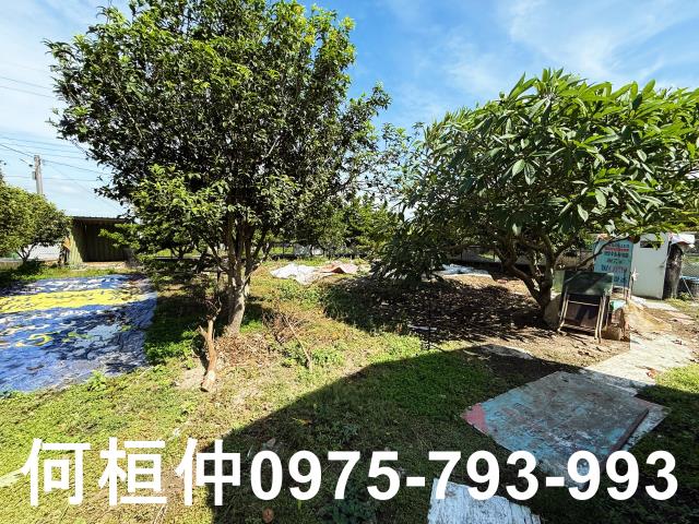 公館農地-4