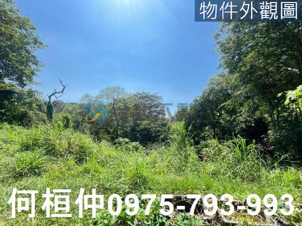 通霄農地-1