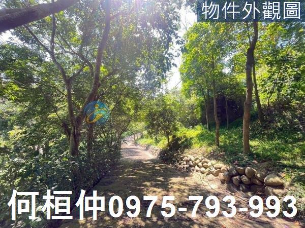 通霄農地-2