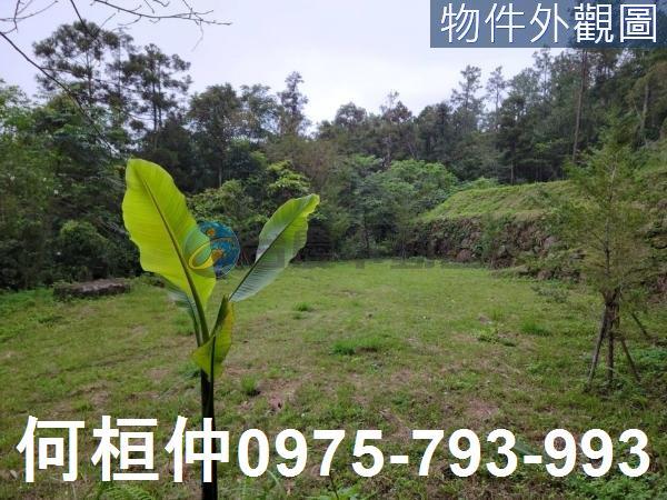 南庄農地-4