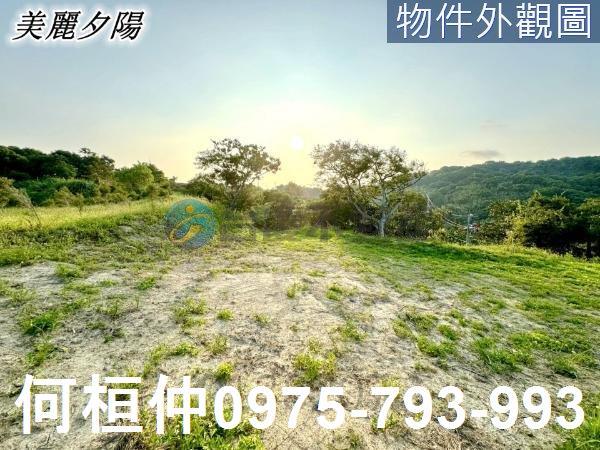 西湖農地-5
