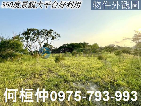 西湖農地-7