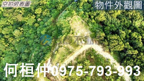 西湖農地-4