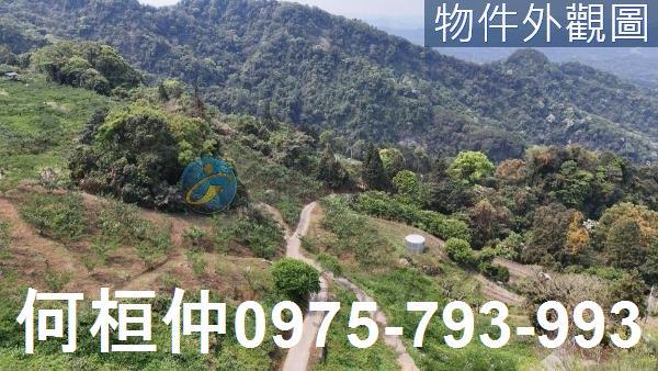 大湖農地-1