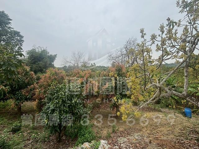台南農地-4