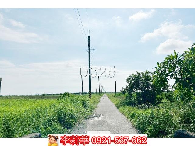 台南農地-3